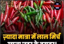ज़्यादा मात्रा में लाल मिर्च खाना ज़हर के बराबर! हो सकते हैं गंभीर स्वास्थ्य नुकसान