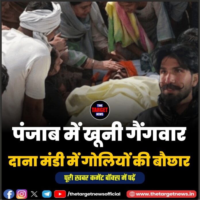 WhatsApp Image 2026-07-11 at 14.35.25