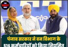 पंजाब सरकार ने वन विभाग के 516 कर्मचारियों को किया नियमित, CM मान ने सौंपे नियुक्ति पत्र
