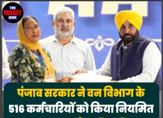 पंजाब सरकार ने वन विभाग के 516 कर्मचारियों को किया नियमित, CM मान ने सौंपे नियुक्ति पत्र