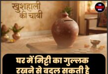 घर में मिट्टी का गुल्लक रखने से बदल सकती है आपकी किस्मत! जानिए इसे रखने की सही दिशा