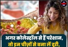 अगर कोलेस्ट्रॉल से हैं परेशान, तो इन चीज़ों से बना लें दूरी, नहीं तो सेहत को हो सकता है बड़ा नुकसान