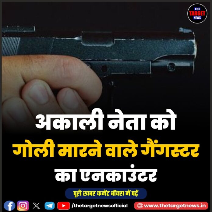 WhatsApp Image 2026-07-17 at 19.30.45