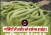 गर्मियों में शरीर को रखेगा हाइड्रेट! जानिए ‘तर’ चीजें खाने के जबरदस्त फायदे