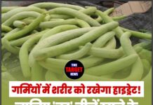 गर्मियों में शरीर को रखेगा हाइड्रेट! जानिए ‘तर’ चीजें खाने के जबरदस्त फायदे