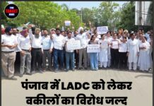 पंजाब में LADC को लेकर वकीलों का विरोध जल्द हो सकता है खत्म, हाईकोर्ट ने जताई समाधान की उम्मीद