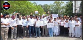 पंजाब में LADC को लेकर वकीलों का विरोध जल्द हो सकता है खत्म, हाईकोर्ट ने जताई समाधान की उम्मीद
