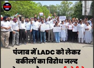 पंजाब में LADC को लेकर वकीलों का विरोध जल्द हो सकता है खत्म, हाईकोर्ट ने जताई समाधान की उम्मीद