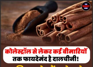कोलेस्ट्रॉल से लेकर कई बीमारियों तक फायदेमंद है दालचीनी! जानिए इसके चौंकाने वाले स्वास्थ्य लाभ