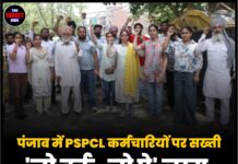 पंजाब में PSPCL कर्मचारियों पर सख्ती, ‘नो वर्क-नो पे’ लागू, हड़ताली कर्मचारियों का कटेगा वेतन