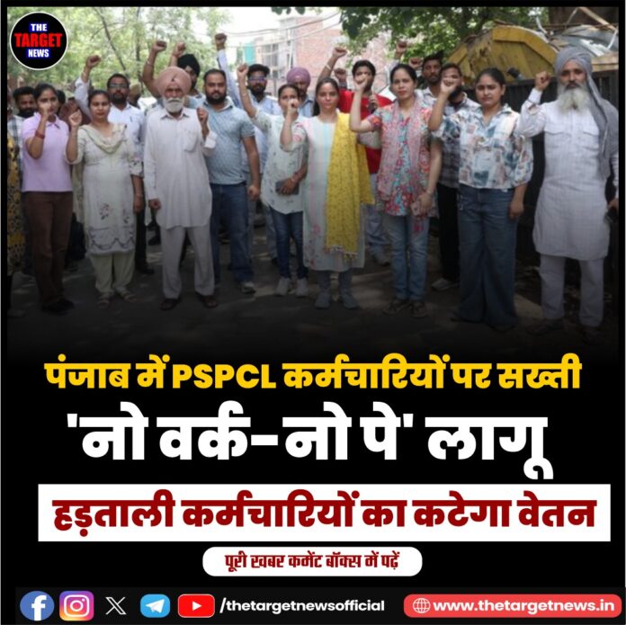WhatsApp Image 2026-07-25 at 13.13.35