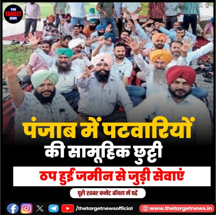 WhatsApp Image 2026-07-25 at 13.46.22
