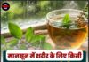 मानसून में शरीर के लिए किसी अमृत से कम नहीं तुलसी की चाय, जानिए इसके जबरदस्त फायदे