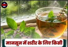 मानसून में शरीर के लिए किसी अमृत से कम नहीं तुलसी की चाय, जानिए इसके जबरदस्त फायदे