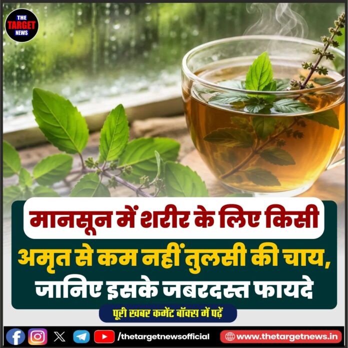 WhatsApp Image 2026-07-25 at 16.21.57