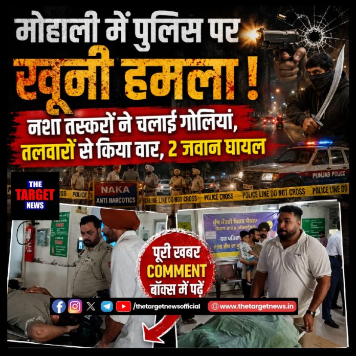 WhatsApp Image 2026-07-25 at 23.13.26