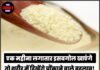 एक महीना लगातार इसबगोल खाएंगे तो शरीर में दिखेंगे चौंकाने वाले बदलाव! जानिए पूरी सच्चाई