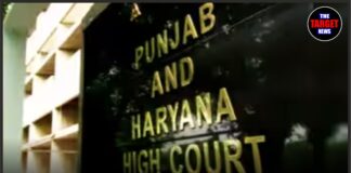 वकीलों के विरोध के बीच पंजाब-हरियाणा हाईकोर्ट की बड़ी पहल, लीगल एड डिफेंस काउंसिल योजना पर जारी किए नए दिशा-निर्देश