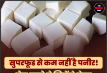 सुपरफूड से कम नहीं है पनीर! रोज़ खाने से मिलेंगे सेहत को कई जबरदस्त फायदे