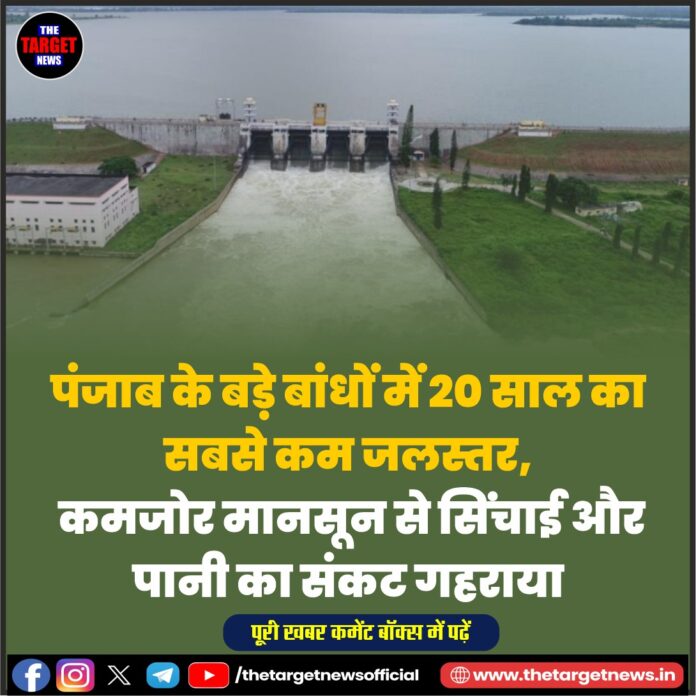 WhatsApp Image 2026-07-30 at 15.45.43