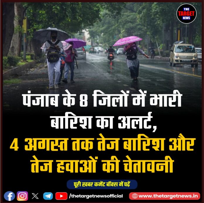 WhatsApp Image 2026-07-30 at 19.42.25
