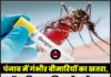 पंजाब में गंभीर बीमारियों का खतरा, डेंगू-चिकनगुनिया हॉटस्पॉट पर सख्त कार्रवाई के आदेश
