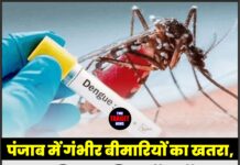 पंजाब में गंभीर बीमारियों का खतरा, डेंगू-चिकनगुनिया हॉटस्पॉट पर सख्त कार्रवाई के आदेश