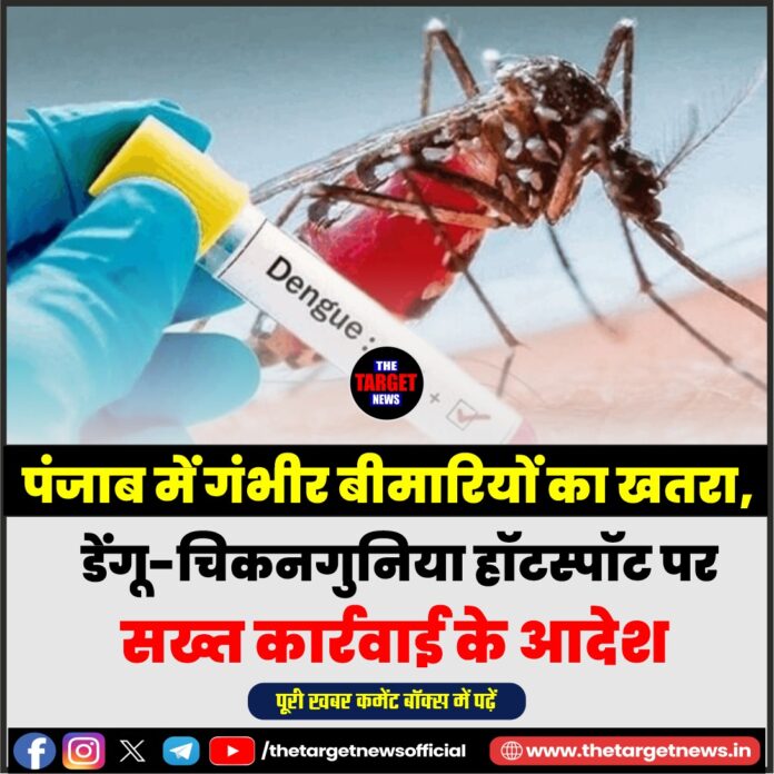 WhatsApp Image 2026-07-31 at 14.38.22