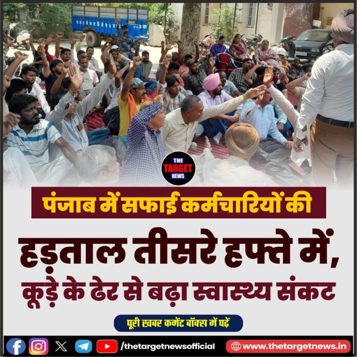 WhatsApp Image 2026-07-31 at 17.28.36