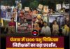 पंजाब में 1200 पशु चिकित्सा निरीक्षकों का बड़ा प्रदर्शन, लंबित मांगों को लेकर CM आवास की ओर कूच
