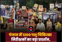 पंजाब में 1200 पशु चिकित्सा निरीक्षकों का बड़ा प्रदर्शन, लंबित मांगों को लेकर CM आवास की ओर कूच