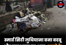 स्मार्ट सिटी लुधियाना बना बदबू और जलभराव का शहर, कचरे के ढेर से लोग परेशान