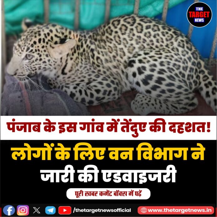 WhatsApp Image 2026-08-01 at 19.48.30