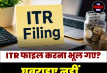 ITR फाइल करना भूल गए? घबराइए नहीं, तुरंत करें ये जरूरी काम