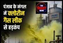 नंगल में क्लोरीन गैस लीक से मचा हड़कंप, जहरीली बदबू से दहशत में लोग; Primo कंपनी ने कहा-स्थिति नियंत्रण में