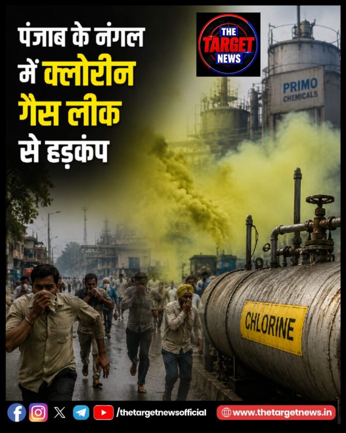 WhatsApp Image 2026-08-03 at 17.42.13