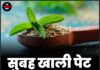 सुबह खाली पेट तुलसी खाने के 7 बड़े फायदे