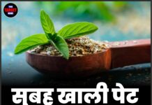 सुबह खाली पेट तुलसी खाने के 7 बड़े फायदे