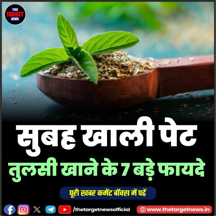 WhatsApp Image 2026-08-04 at 15.57.42