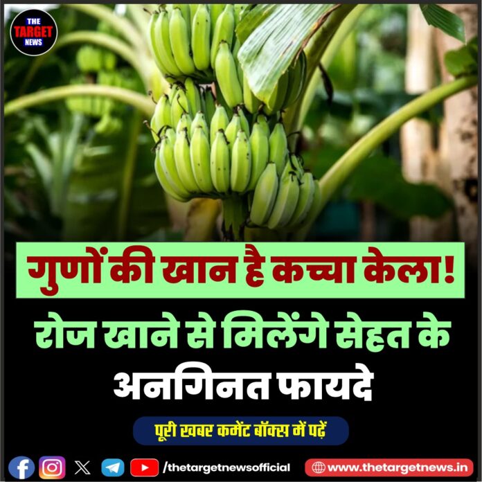 WhatsApp Image 2026-08-04 at 16.14.45