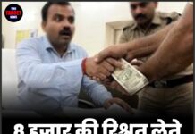 8 हजार की रिश्वत लेते PWD का JE गिरफ्तार