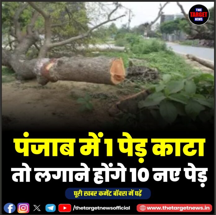 WhatsApp Image 2026-08-05 at 18.03.00