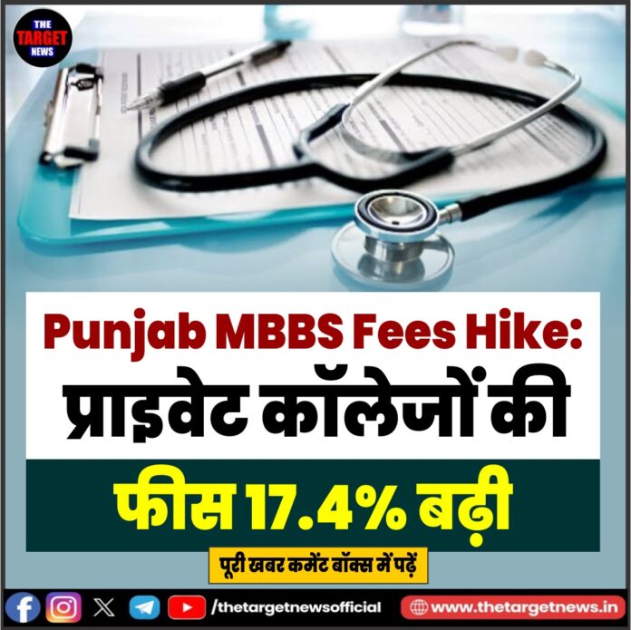 WhatsApp Image 2026-08-08 at 19.38.18
