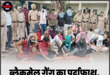 ब्लैकमेल गैंग का पर्दाफाश, 28 आरोपी गिरफ्तार