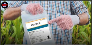 Alleged Blackmail के बाद पति-पत्नी ने निगला Pesticide