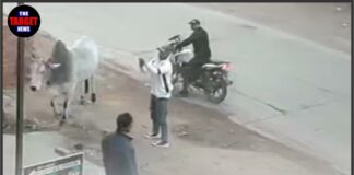 कपड़ा व्यापारी की दुकान पर ताबड़तोड़ फायरिंग