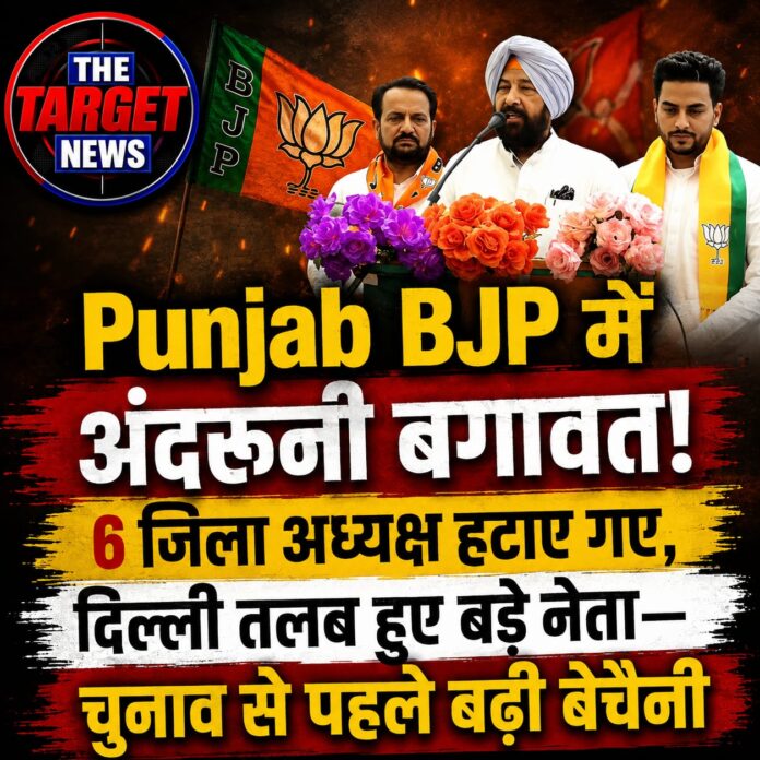 WhatsApp Image 2026-08-10 at 19.07.48