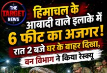 हिमाचल के आबादी वाले इलाके में 6 फीट का अजगर! रात 2 बजे घर के बाहर दिखा, वन विभाग ने किया रेस्क्यू