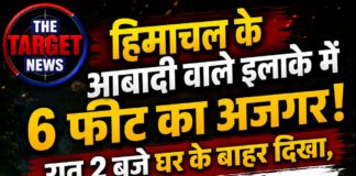 हिमाचल के आबादी वाले इलाके में 6 फीट का अजगर! रात 2 बजे घर के बाहर दिखा, वन विभाग ने किया रेस्क्यू