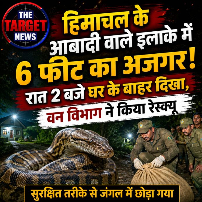 WhatsApp Image 2026-08-11 at 17.29.37